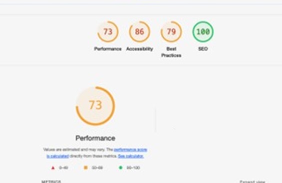 get website performance check